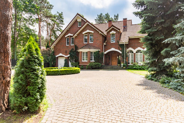 Best Driveway Paving Contractor  in Harrogate, TN